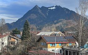 Gruenes Stueble Allgaeuer Alpen
