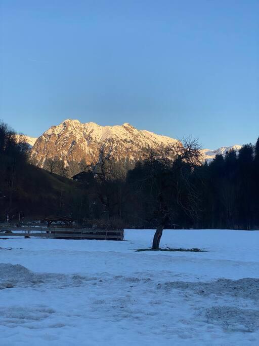Gruenes Stueble Allgaeuer Alpen Sonthofen Exterior foto